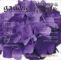 Gaudie. : Senkou Shichou Gata Sakuhin [Sanou Kaika]